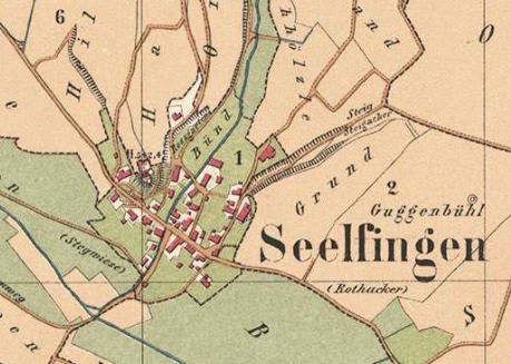Ausschnitt aus der Gemarkungskarte von 1868